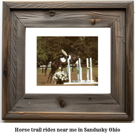 horse trail rides near me in Sandusky, Ohio